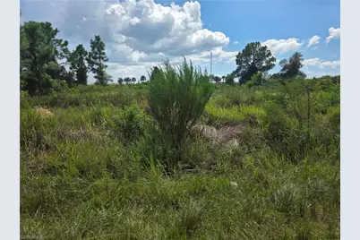 3044 Meadow Rd, Lehigh Acres, FL 33974 - Photo 1
