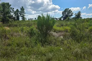 3044 Meadow Rd, Lehigh Acres, FL 33974 - Photo 1