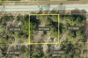 603 W 14th St, Lehigh Acres, FL 33972 - Photo 1
