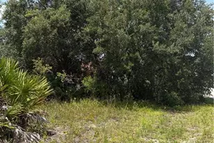2521 68th, Lehigh Acres, FL 33971 - Photo 1