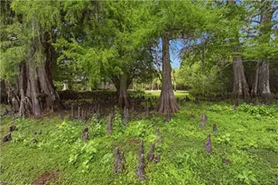 5681 Bur Oaks Ln, Naples, FL 34119 - Photo 7