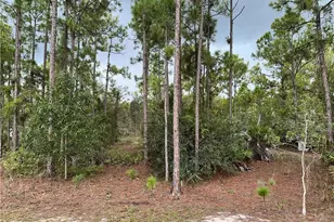 3740 45th Ave NE, Naples, FL 34120 - Photo 15