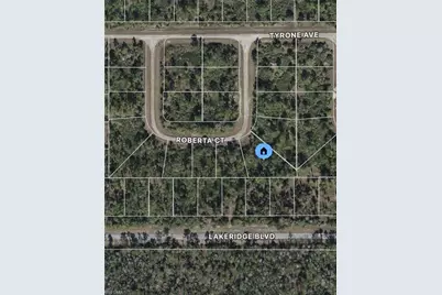 325 Roberta Ct, Lehigh Acres, FL 33972 - Photo 1