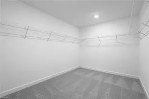 45030 Pipevine Cir, Babcock Ranch, FL 33982 - Photo 15