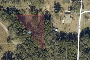 Xxx Tangerine St, Yalaha, FL 34797 - Photo 1