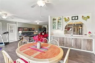 19989 Petrucka Cir N, Lehigh Acres, FL 33936 - Photo 29