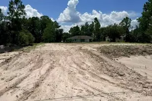 726 Manhattan St E, Lehigh Acres, FL 33974 - Photo 3