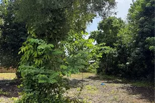 559 Sacramento St, North Fort Myers, FL 33903 - Photo 1