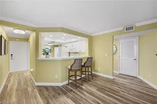 26699 Little John Ct, Bonita Springs, FL 34135 - Photo 7