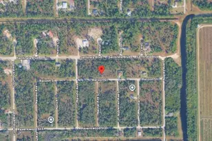 1229 Racoon St E, Lehigh Acres, FL 33974 - Photo 1