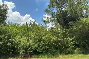 18020 Wintergarden Ave, Port Charlotte, FL 33948 - Photo 1