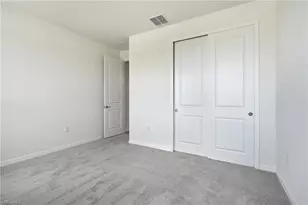 16927 Squirrel Branch Ln, Alva, FL 33920 - Photo 33