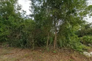 4301 3rd St SW, Lehigh Acres, FL 33976 - Photo 1
