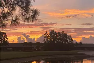 9131 Old Hickory Cir, Fort Myers, FL 33912 - Photo 17