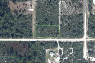 2255 S Page Rd, Avon Park, FL 33825 - Photo 1