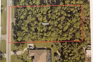 25461 Luci Dr, Bonita Springs, FL 34135 - Photo 1