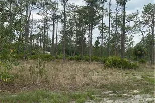7700 Wheeler Rd, Labelle, FL 33935 - Photo 1