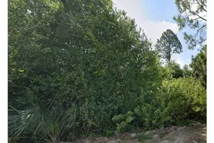 518 Upstate Ave S, Lehigh Acres, FL 33974 - Photo 1