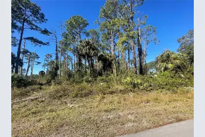 1209 Pine Ave, Lehigh Acres, FL 33972 - Photo 1