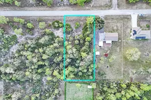 2310 Louis Ave, Alva, FL 33920 - Photo 1