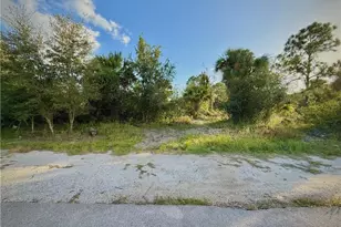 1214 Beaver St E, Lehigh Acres, FL 33974 - Photo 1