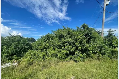 1001 Chadbourne Ave, Lehigh Acres, FL 33971 - Photo 1