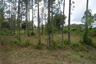 2121 Scott Ave, Alva, FL 33920 - Photo 1