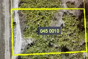 6005 Gene Ave N, Lehigh Acres, FL 33971 - Photo 1