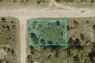 2922 Gene Ave N, Lehigh Acres, FL 33971 - Photo 1