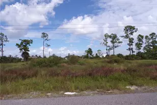 2221 NE 33rd Terrace, Cape Coral, FL 33909 - Photo 1