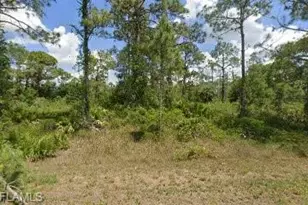 1306 Canton Ave, Lehigh Acres, FL 33972 - Photo 1