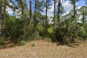 1308 Canton Ave, Lehigh Acres, FL 33972 - Photo 1