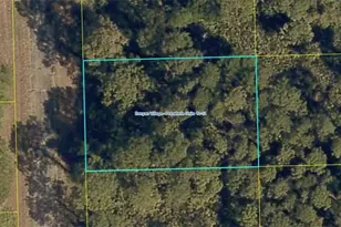 1317 Joel Ln, Labelle, FL 33935 - Photo 1