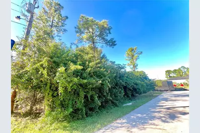3019 19th St W, Lehigh Acres, FL 33971 - Photo 1