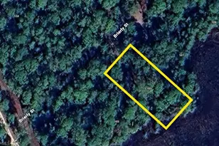 105 Brierly St, Georgetown, FL 32139 - Photo 1