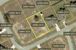 905 NW 30th St, Cape Coral, FL 33993 - Photo 1