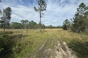 46930 Bermont Rd, Punta Gorda, FL 33982 - Photo 1