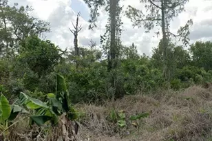 400 Duckling Ave, Sebring, FL 33872 - Photo 1