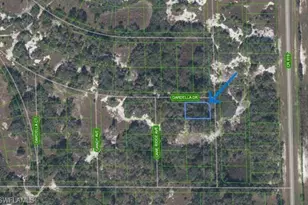 1181 Ebbtide Ave, Lake Placid, FL 33852 - Photo 1