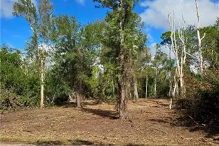 27442 S Twin Lakes Dr, Punta Gorda, FL 33955 - Photo 1