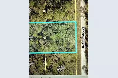 1403 Hamilton Ave, Lehigh Acres, FL 33972 - Photo 1