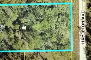 1403 Hamilton Ave, Lehigh Acres, FL 33972 - Photo 1