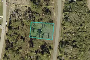 314 Nathan Ave, Lehigh Acres, FL 33974 - Photo 1