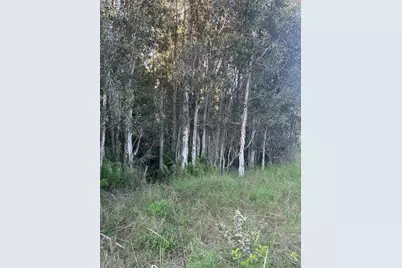33608 Oil Well Rd, Punta Gorda, FL 33955 - Photo 1
