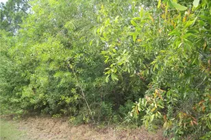 409 Camino Real Blvd, Clewiston, FL 33440 - Photo 1