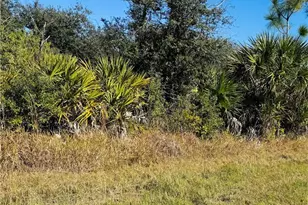 12088 Dubarry Ave, Port Charlotte, FL 33981 - Photo 1