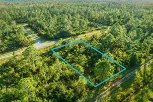 316 Tyrone Ave, Lehigh Acres, FL 33972 - Photo 1