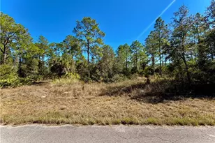 1302 Palmetto Ave, Lehigh Acres, FL 33972 - Photo 1