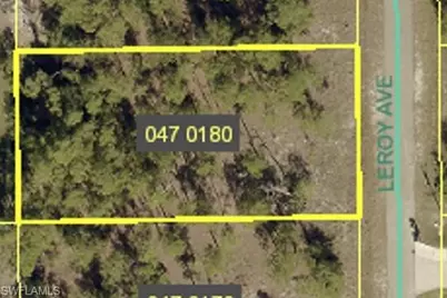 311 Leroy Ave, Lehigh Acres, FL 33936 - Photo 1