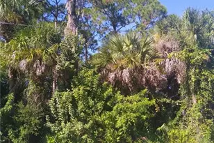 5409 Callaway St, Port Charlotte, FL 33981 - Photo 1